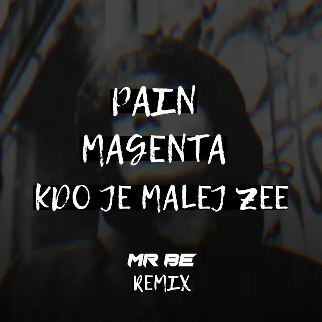 Kdo Je Malej Zee - Mr BE Remix