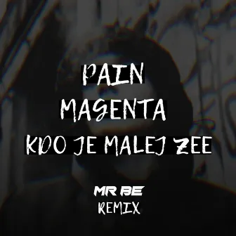 Kdo Je Malej Zee (Mr BE Remix) by Mr BE