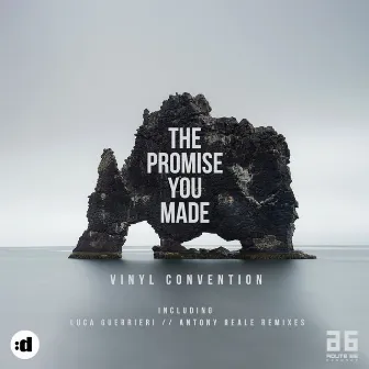 The Promise You Made by Vinyl Convention