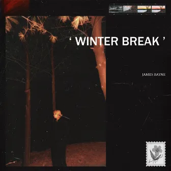 WINTER BREAK by James Bayne