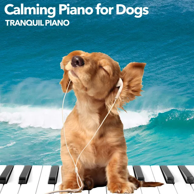 Calming Piano for Dogs