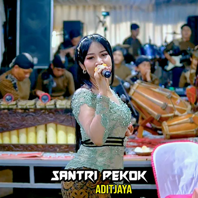 Santri Pekok