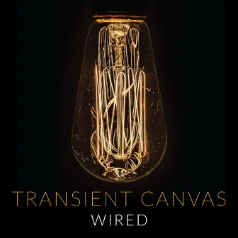 Wired by Transient Canvas