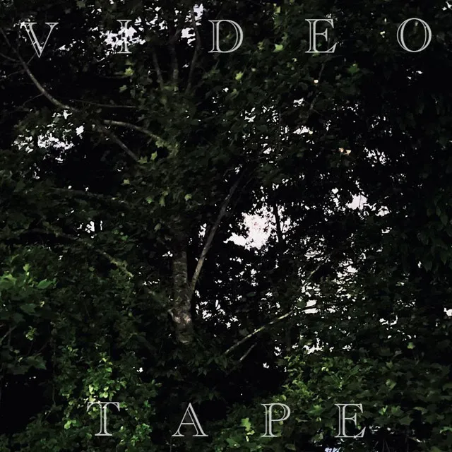 Videotape