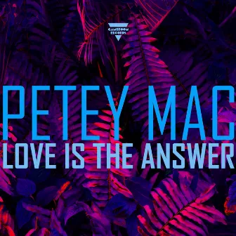 Love Is the Answer by Petey Mac