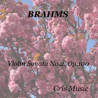 Brahms: Violin Sonata No.2, Op.100 by Georg Solti