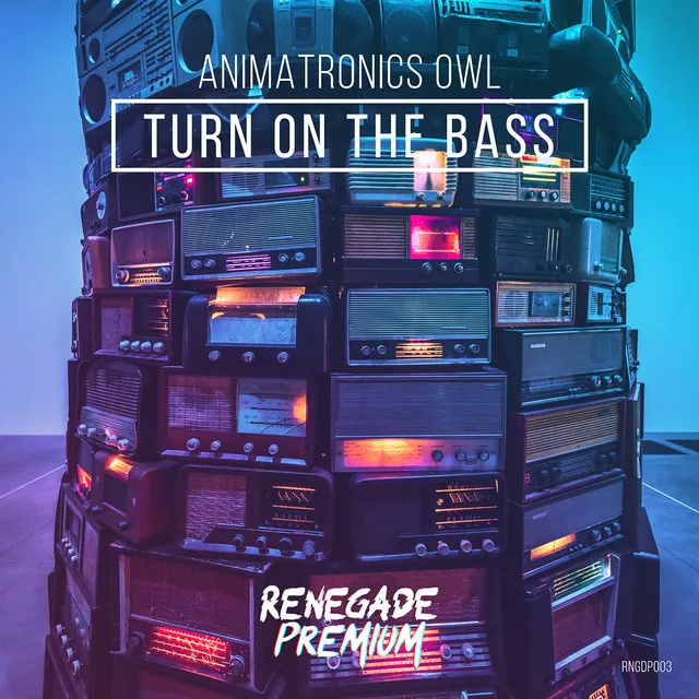 Turn on the Bass (Radio Mix)