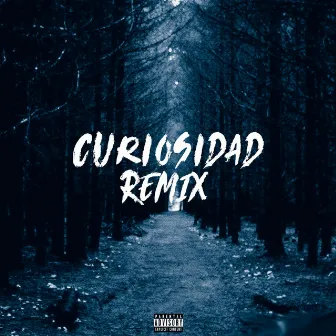 Curiosidad (Remix) by Raffy Nitro