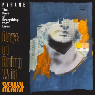 The Pace of Everything that Lives (Days of Being Wild Remix) by Pyrame