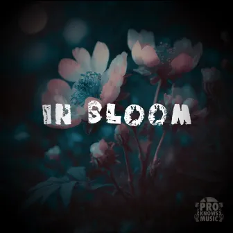 In Bloom by Pro Knows Music