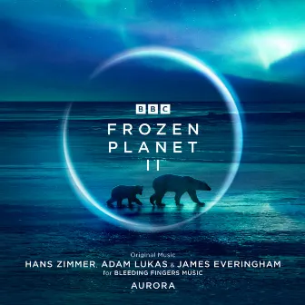 The Frozen Planet (From Frozen Planet II) by James Everingham