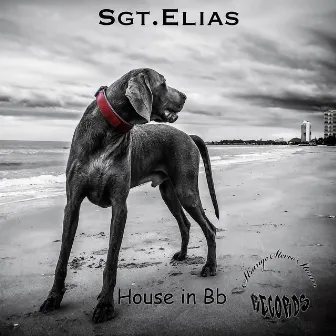 House in Bb by Sgt.Elias