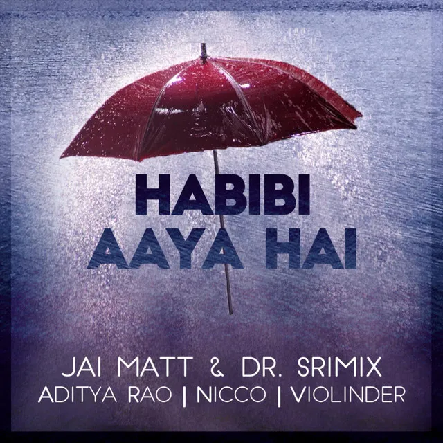 Habibi Aaya Hai - feat. Aditya Rao, Nicco & Dr. Srimix