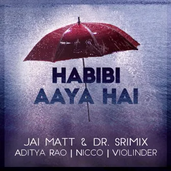 Habibi Aaya Hai (feat. Aditya Rao, Nicco & Dr. Srimix) by Jai Matt