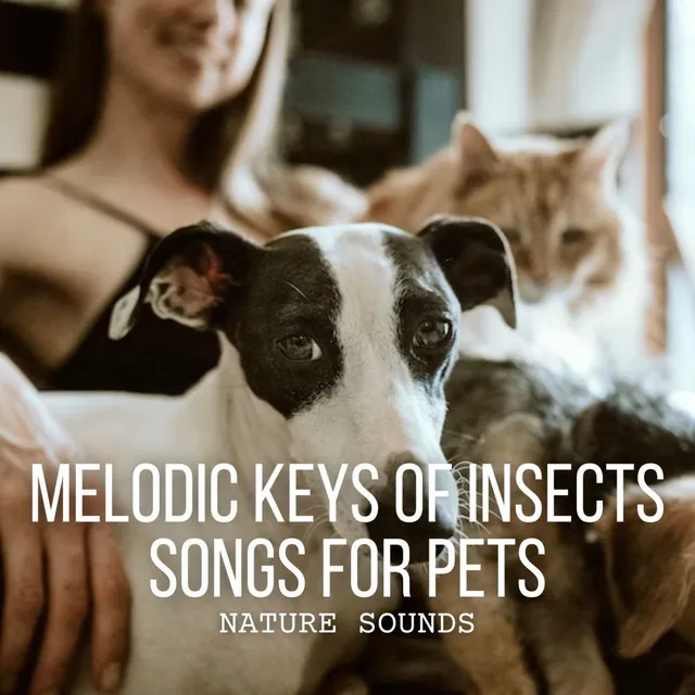 Nature Sounds: Melodic Keys of Insects Songs for Pets