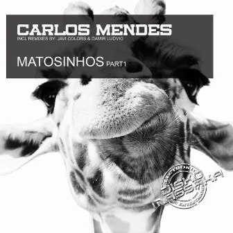 Matosinhos by Carlos Mendes