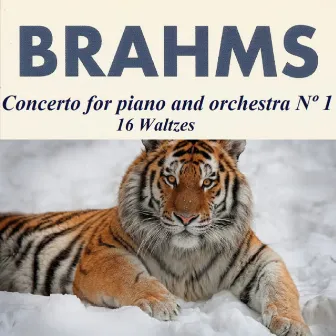 Brahms - Concerto for piano and orchestra Nº 1 - 16 Waltzes by Eduardo Marturet