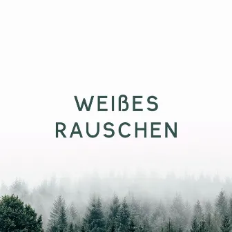 Weißes Rauschen by Schleife Weißes Rauschen