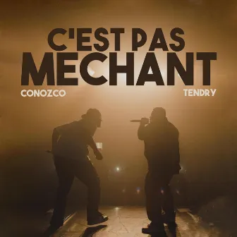 C'est pas méchant by Tendry