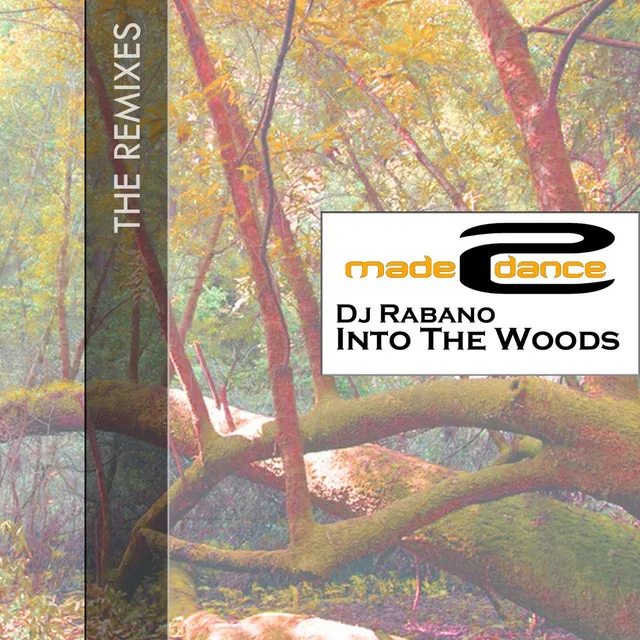 Into The Woods - Bass Robbers Remix