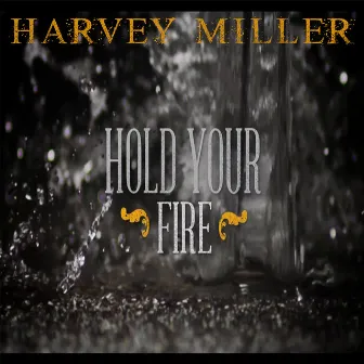 Hold Your Fire by Harvey Miller