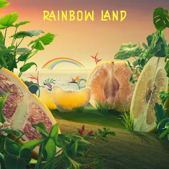 Rainbow Land by Robert Northcott