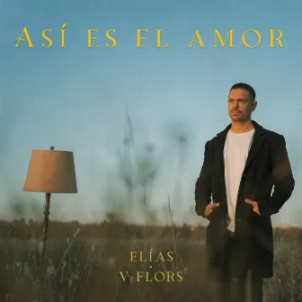 Así Es El Amor by V Flors