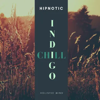 Holistic Mind by Hipnotic