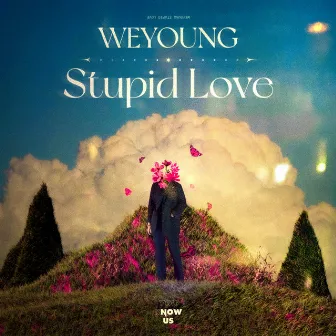 Stupid Love by WEYOUNG