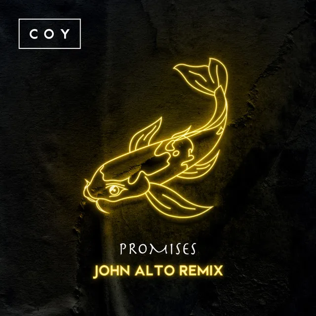 Promises - John Alto Remix