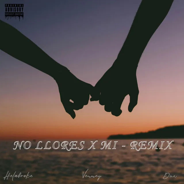 No Llores X Mi - Remix