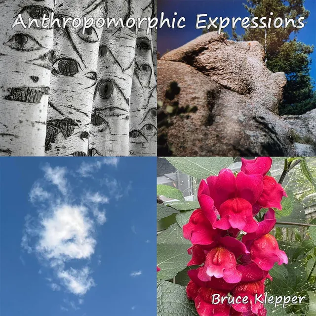 Anthropomorphic Expressions - The Flowers Smile