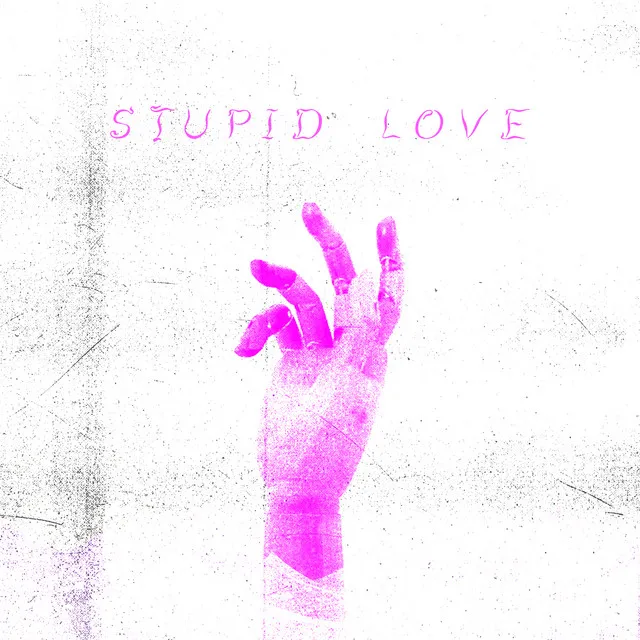 Stupid Love