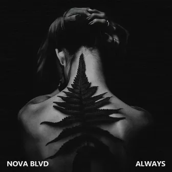 Always by Nova Blvd