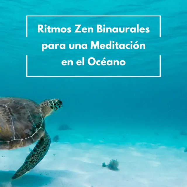 Ritmos Zen Binaurales Para Una Meditación En El Océano