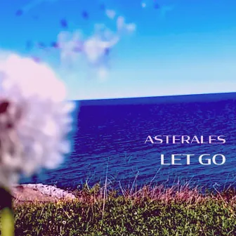 Let Go by Asterales