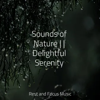 Sounds of Nature | | Delightful Serenity by Sleepy Times