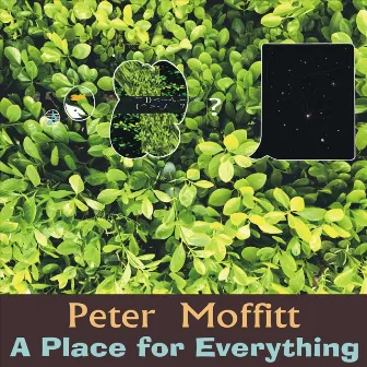 A Place for Everything by Peter Moffitt