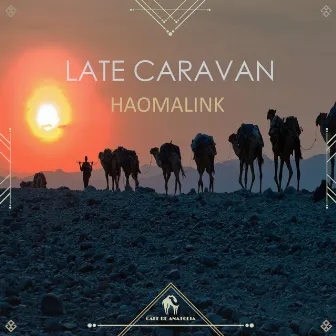 Late Caravan by Haomalink