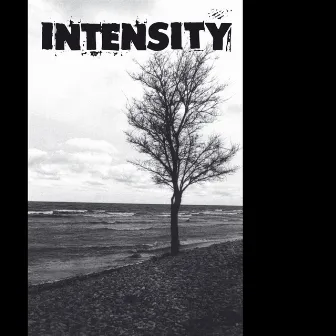 Wash Of The Lies by Intensity