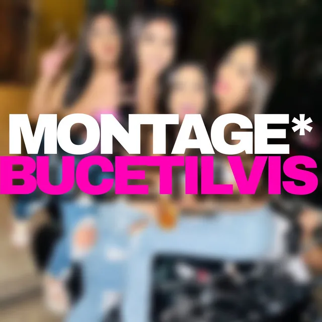 MONTAGE* BUCETILVIS