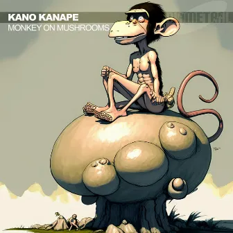 Monkey on Mushrooms by Kano Kanape