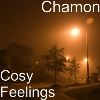 Cosy Feelings by Chamon