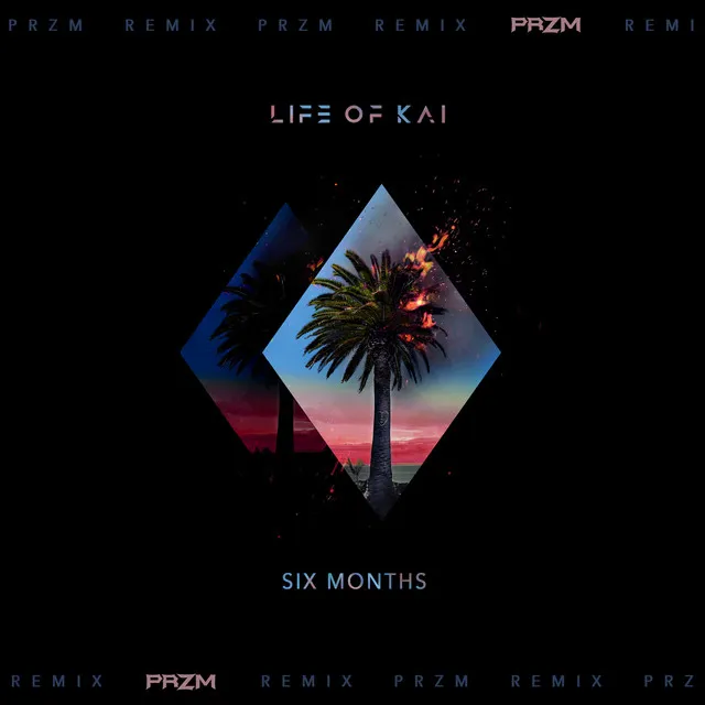 Six Months (PRZM Remix)