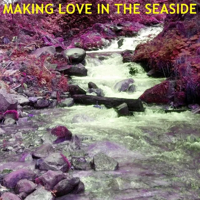 Making Love In The Seaside