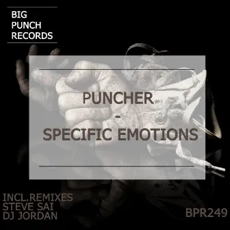 Specific Emotions by Puncher