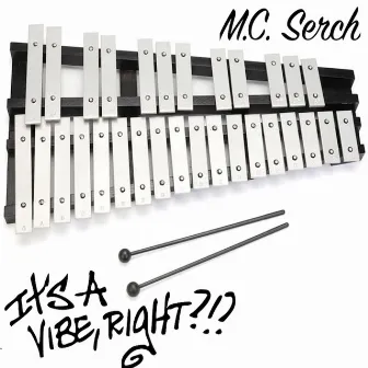 It's Just A Vibe, Right?!? by MC Serch