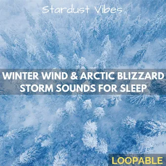 Winter Wind & Arctic Blizzard Storm Sounds for Sleep (Loopable) by White Noize Dream Club