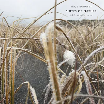 Suites of Nature, Vol.2 - Wood in Forest by Terje Isungset