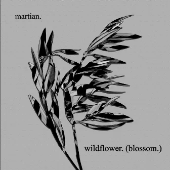 wildflower. (blossom.) by martian.